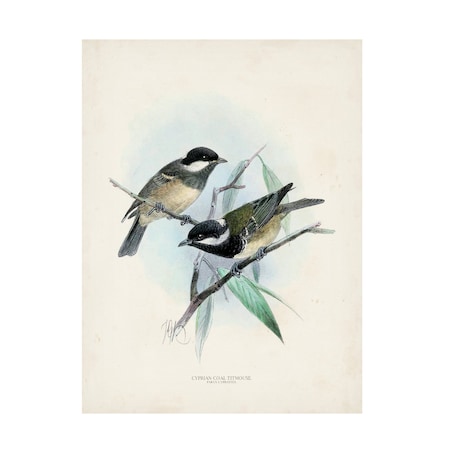 Unknown 'Antique Birds VII' Canvas Art, 18x24